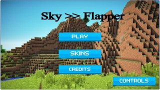 Image Sky Flapper